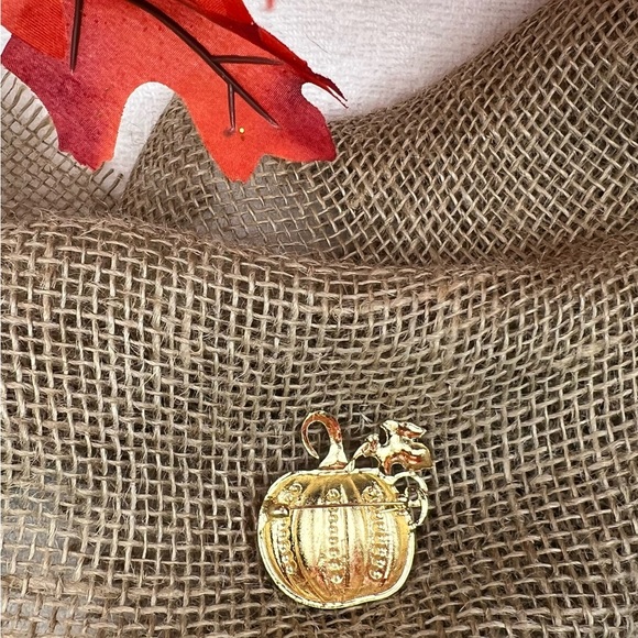 Pumpkin Brooch - Picture 2 of 3